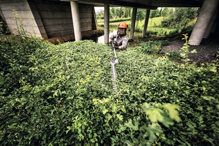 Nożyce teleskopowe STIHL HLA 140 do wysokich żywopłotów