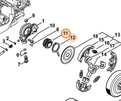 Ślimak 1121 640 7111