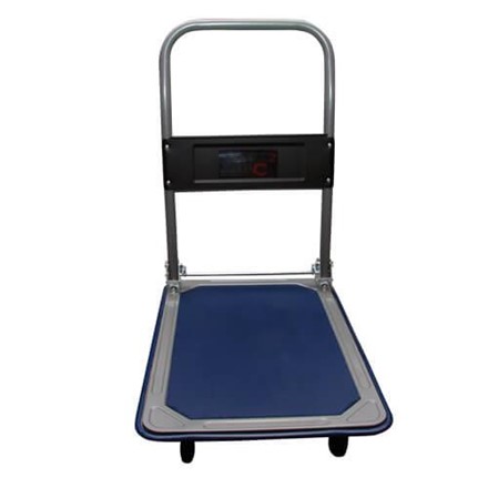 Wózek transportowy Platforma 150 kg BERG