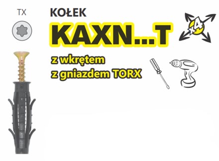 Kołek KAXN z wkrętem z gniazdem TORX starfix amex
