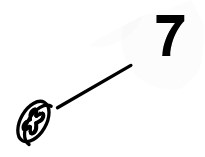 Nakrętka sprężynująca 4,0x9,6x1,8 9417 003 7512