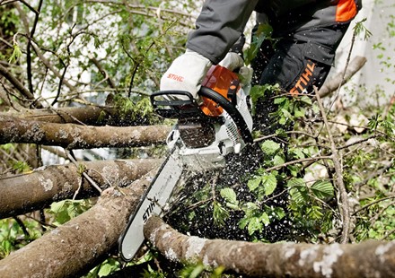 Pilarka MS 261 STIHL pilarki łańcuchowe STIHL pilarka łańcuchowa 