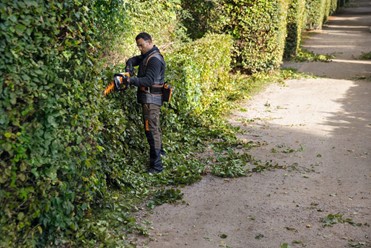 Nożyce akumulatorowe do żywopłotu marki STIHL. Jest to profesjonalne narzędzie ogrodnicze, które służy do przycinania żywopłotów i krzewów.