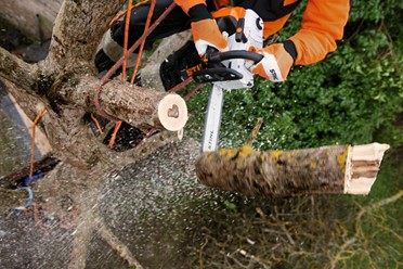 Pilarka Spalinowa MS 201 TC-M STIHL