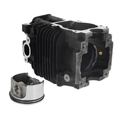 Cylinder z tłokiem Ø 50 mm 4282 020 1203