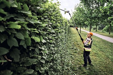 Nożyce teleskopowe STIHL HLA 150 do wysokich żywopłotów.