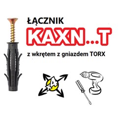 Kołek wkręcany na TORX KAXN...T