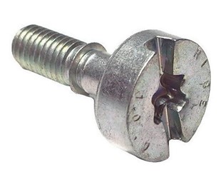 Śruba cylindryczna 9022 319 0981