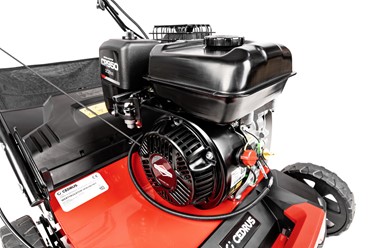 Wertykulator Cedrus CEDWR01-B