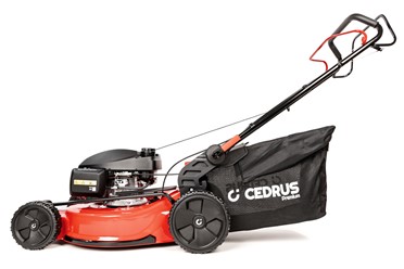 Kosiarka spalinowa z napędem CEDRUS Premium CEDLP53S-H z silnikiem Honda GCV200 i dużym koszem 75 litrów