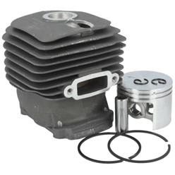 Cylinder z tłokiem 4250 020 1201