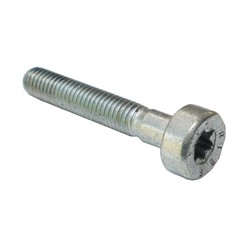 Śruba z łbem cylindrycznym IS-M5x30 9022 341 1070
