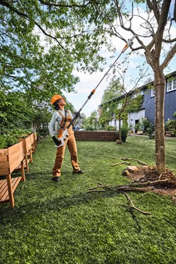 Podkrzesywarka Akumulatorowa HTA 30 STIHL